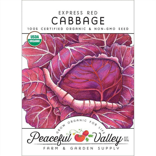 Organic Grow Organic red cabbage seeds in a seed pack, ideal for growing fresh red cabbage vegetables in your garden.