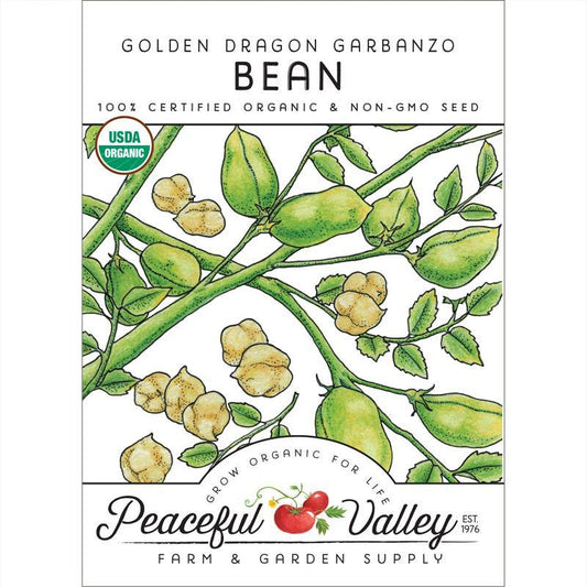 Organic Garbanzo Golden Dragon Bush Bean Seeds in a Grow Organic packet, ready for planting vegetable seeds.