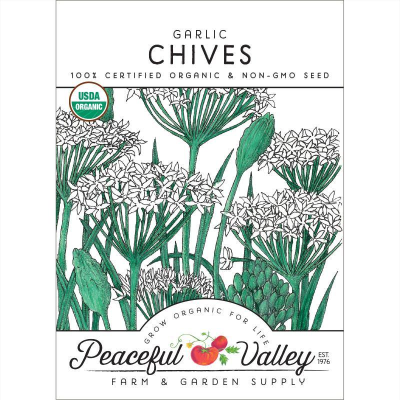 Organic garlic chives seeds from Grow Organic, vegetable seed pack for growing garlic chives at home.