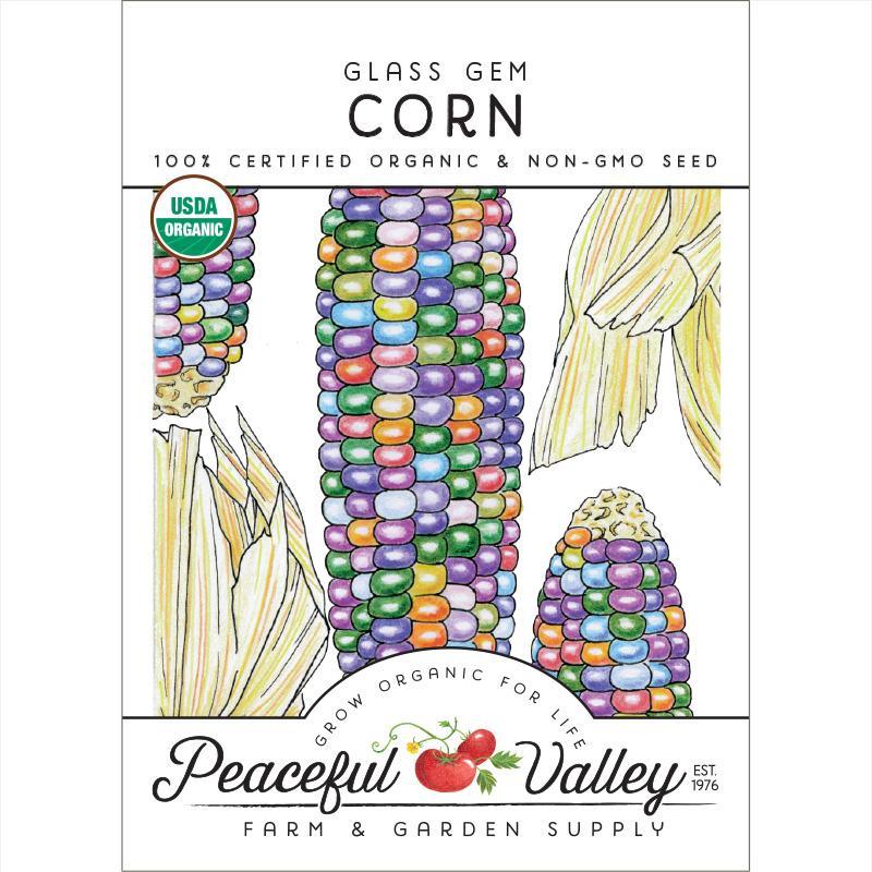 Organic Glass Gem Corn seeds from Grow Organic, vibrant multicolored vegetable seeds for planting and gardening.