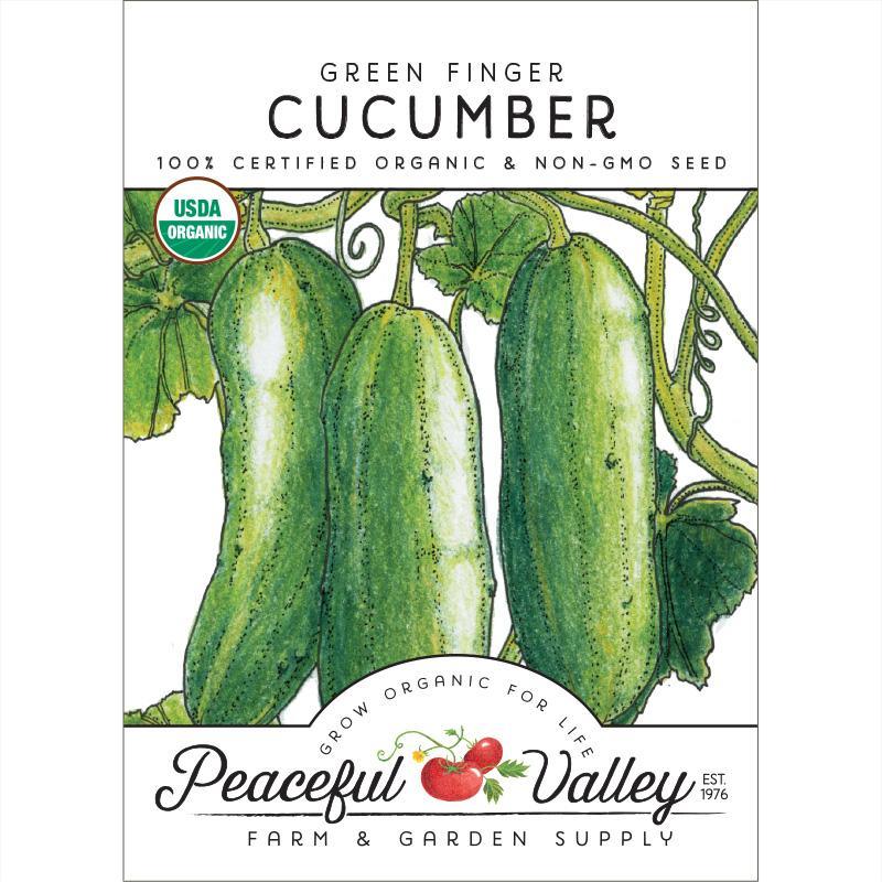 Green Finger Cucumber Seeds from Grow Organic, organic vegetable seeds in a pack, ideal for home gardening and fresh cucumbers.