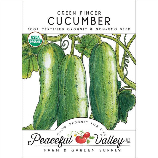 Green Finger Cucumber Seeds from Grow Organic, organic vegetable seeds in a pack, ideal for home gardening and fresh cucumbers.