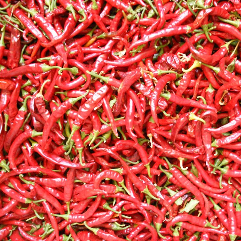 Organic Hot Cayenne Slim Pepper Seeds from Grow Organic, vegetable seeds pack with vibrant seed images for planting.