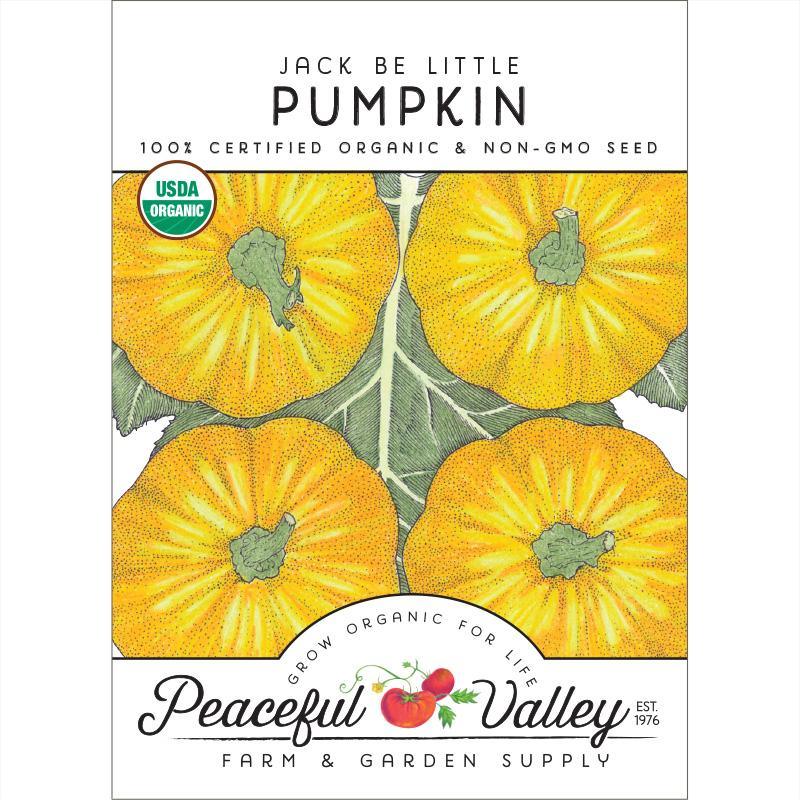Organic Jack Be Little Pumpkin Seeds by Grow Organic, vegetable seeds pack with small pumpkin seed illustrations.
