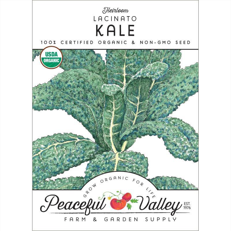 Organic Lacinato Kale seeds from Grow Organic, shown in a seed packet for growing nutritious vegetable plants.