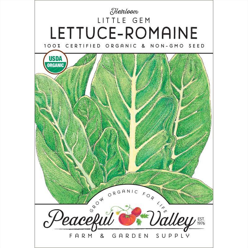 Organic Little Gem Lettuce Seeds from Grow Organic, vegetable seeds pack showing small green lettuce seedlings.