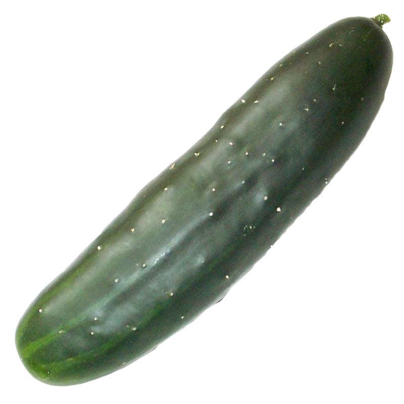 Organic Marketmore 76 cucumber seeds from Grow Organic, vegetable seeds pack with healthy, fresh cucumber seedlings.