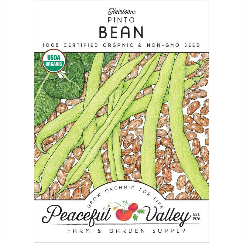 Organic Pinto Bean Seeds from Grow Organic in a vegetable seed pack, ready for planting in your garden.