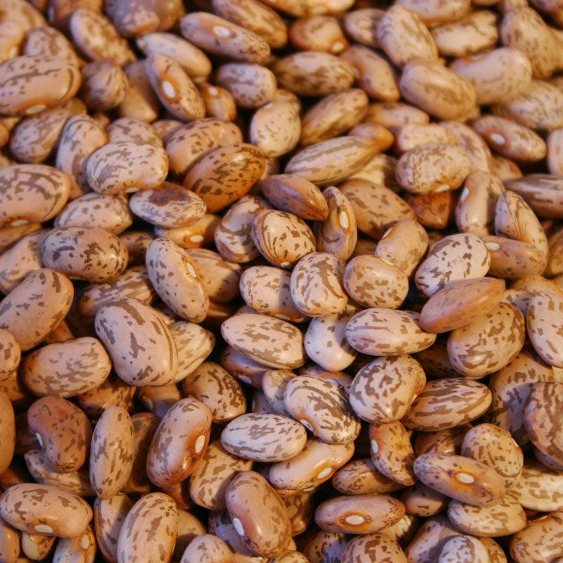 Organic Pinto Bean Seeds from Grow Organic, vegetable seeds pack showing fresh seed grains for planting.