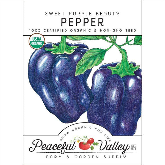 Organic Purple Beauty Sweet Pepper seeds from Grow Organic, packaged in a vegetable seed packet with vibrant purple peppers.