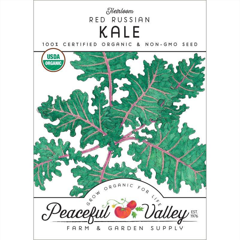 Organic Red Russian Kale seeds from Grow Organic, vegetable seeds pack with vibrant red kale seedlings.