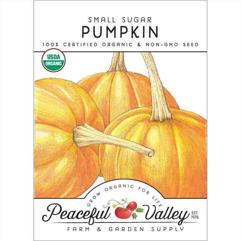 Small package of Grow Organic sugar pumpkin seeds, organic vegetable seeds for planting and growing pumpkins.