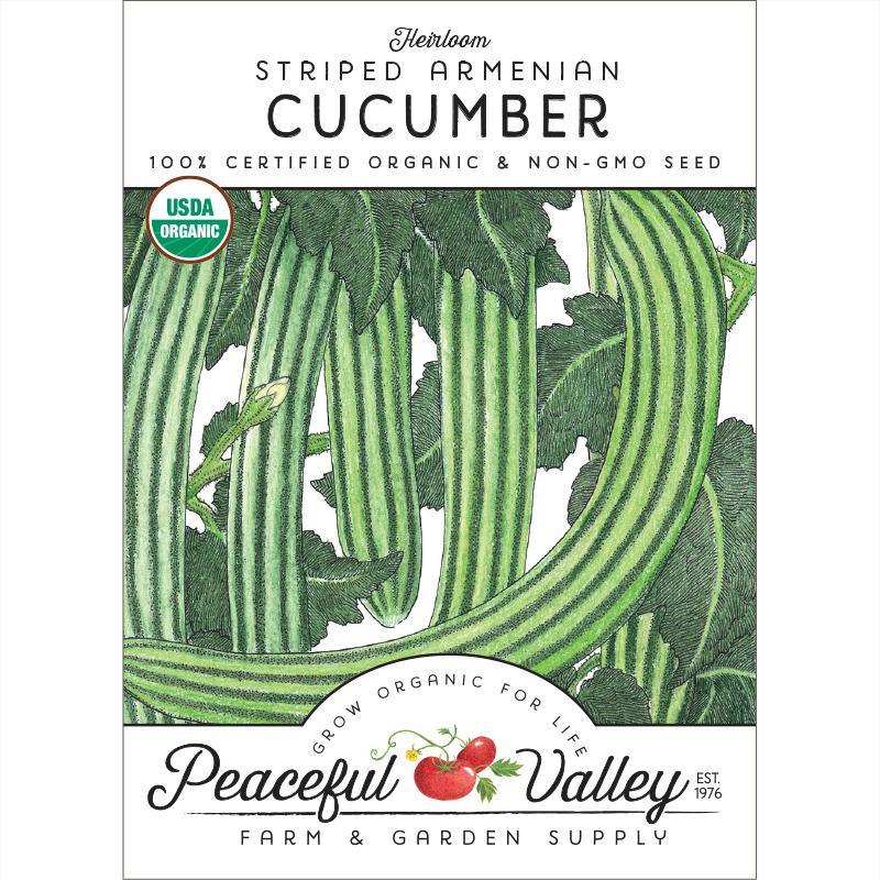 Organic striped cucumber seeds from Grow Organic, vegetable seeds in a pack, ideal for planting fresh cucumbers.