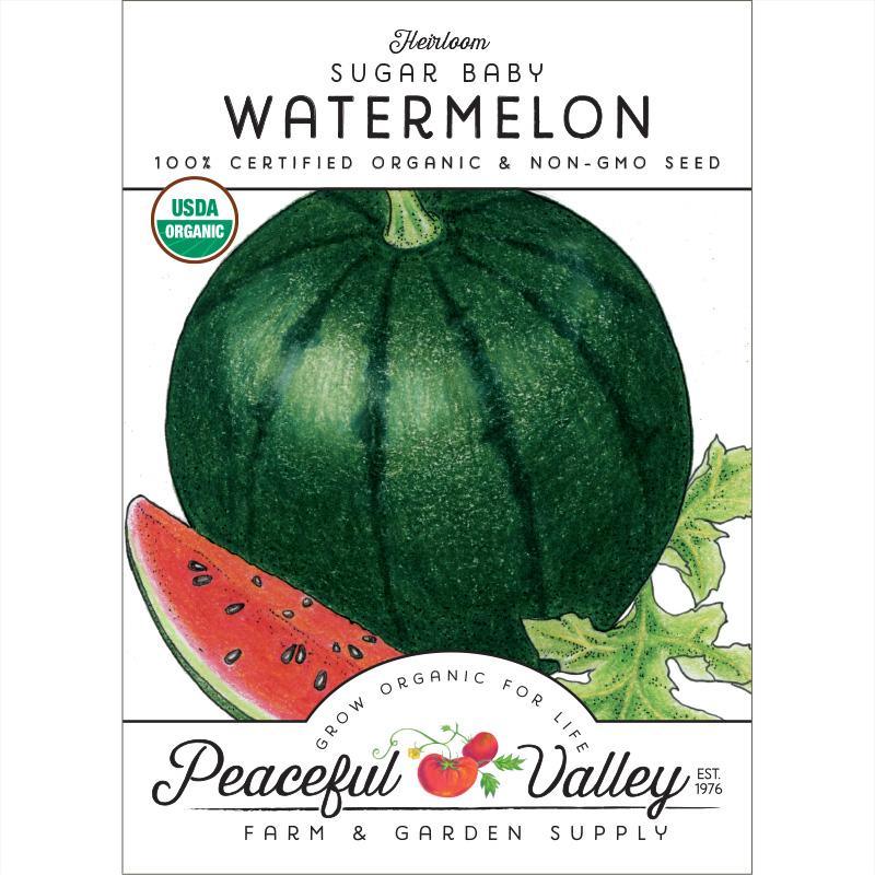Organic Sugar Baby Watermelon Seeds from Grow Organic, small vegetable seeds for growing sweet, juicy watermelons.
