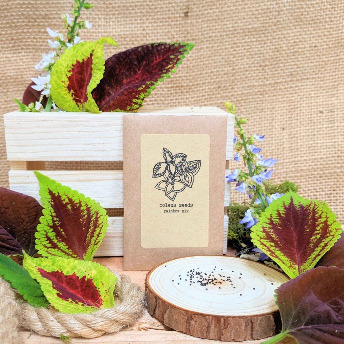 Set of houseplant seeds from Plantflix for growing a lush indoor jungle, including various tropical plant varieties.