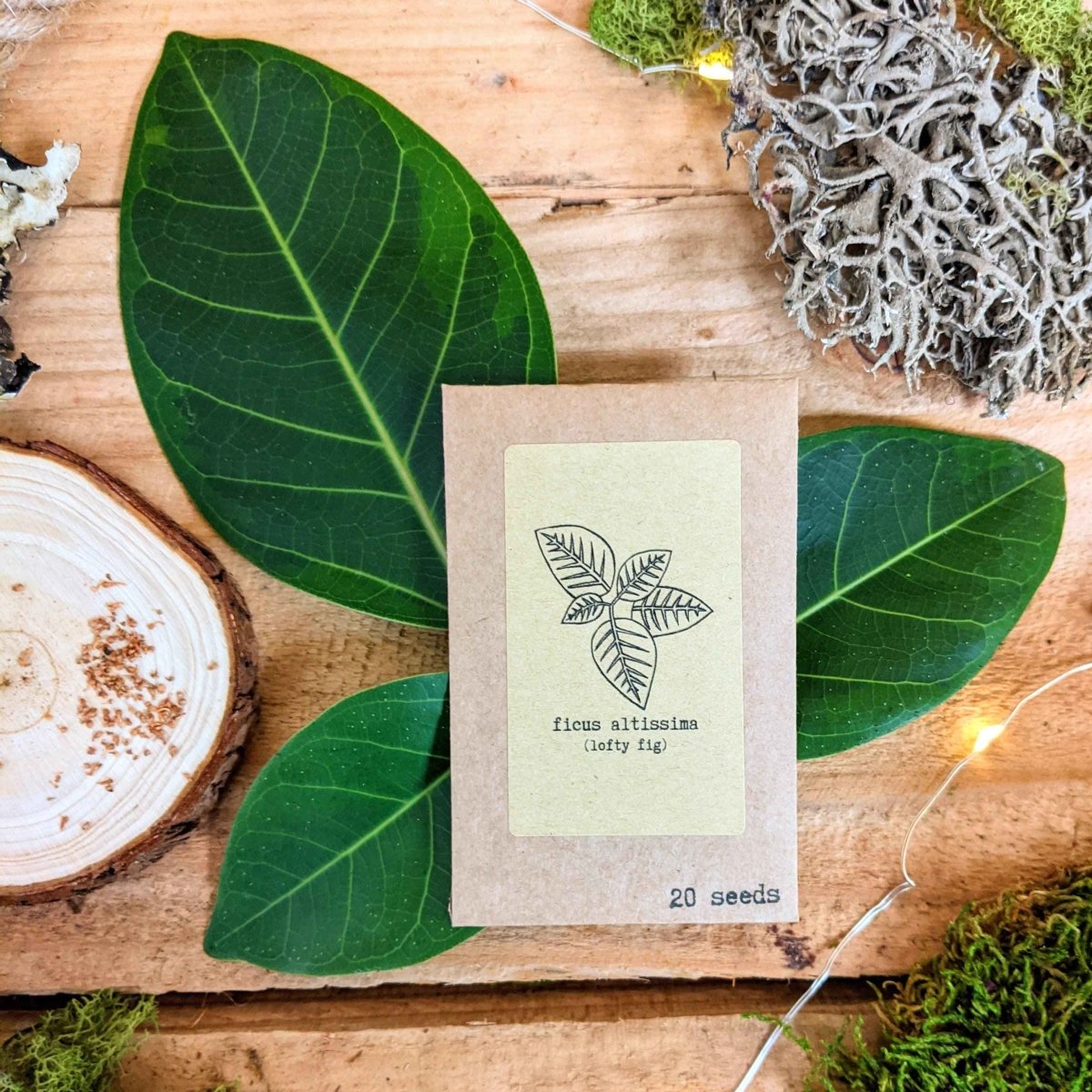 Assorted houseplant seeds from Plantflix's Grow Your Own Jungle collection, ready for planting and cultivating indoor greenery.
