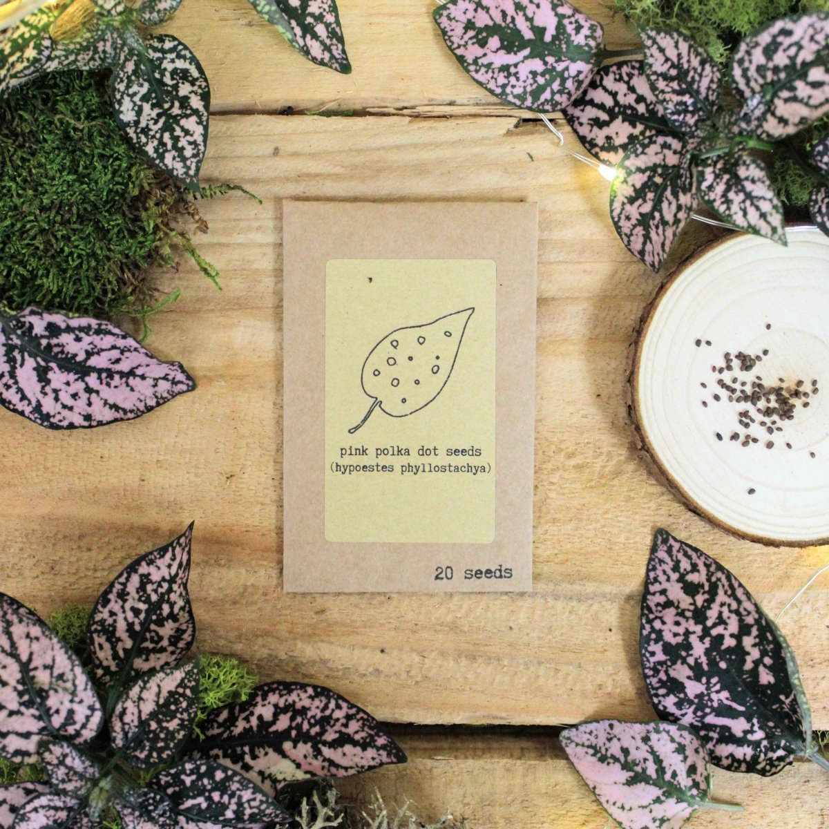 Set of houseplant seeds from Plantflix's Grow Your Own Jungle collection, featuring various tropical plant varieties.