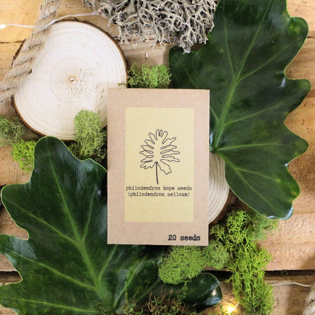 Container of diverse houseplant seeds from Plantflix's Grow Your Own Jungle collection, ready for planting indoors.