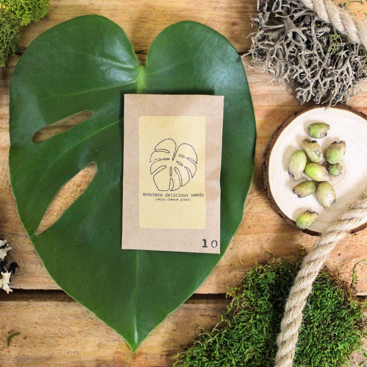 Set of houseplant seeds from Plantflix's Grow Your Own Jungle collection, featuring various tropical plant varieties.