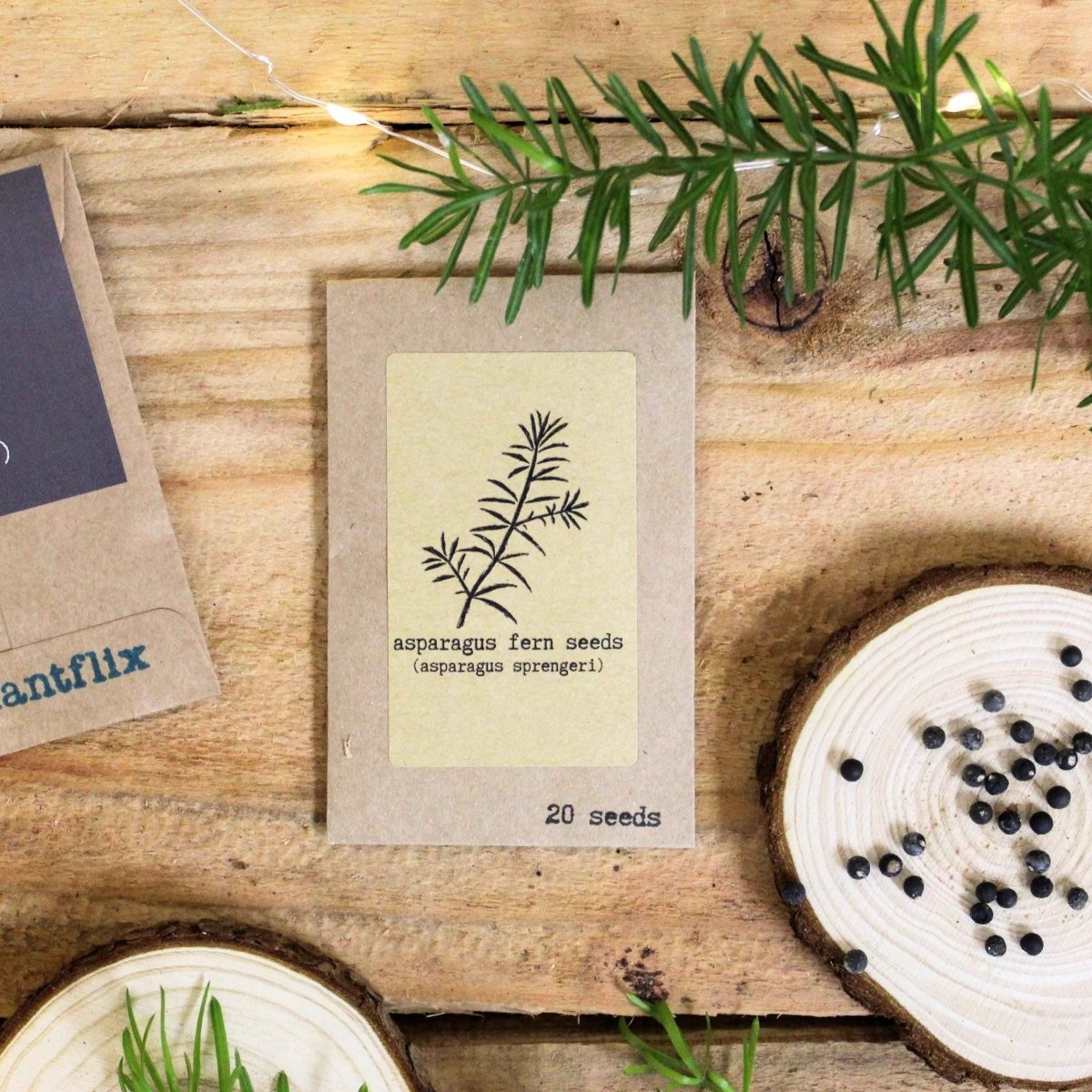 Assorted houseplant seeds from Plantflix's Grow Your Own Jungle collection, ready for planting and cultivating indoor greenery.