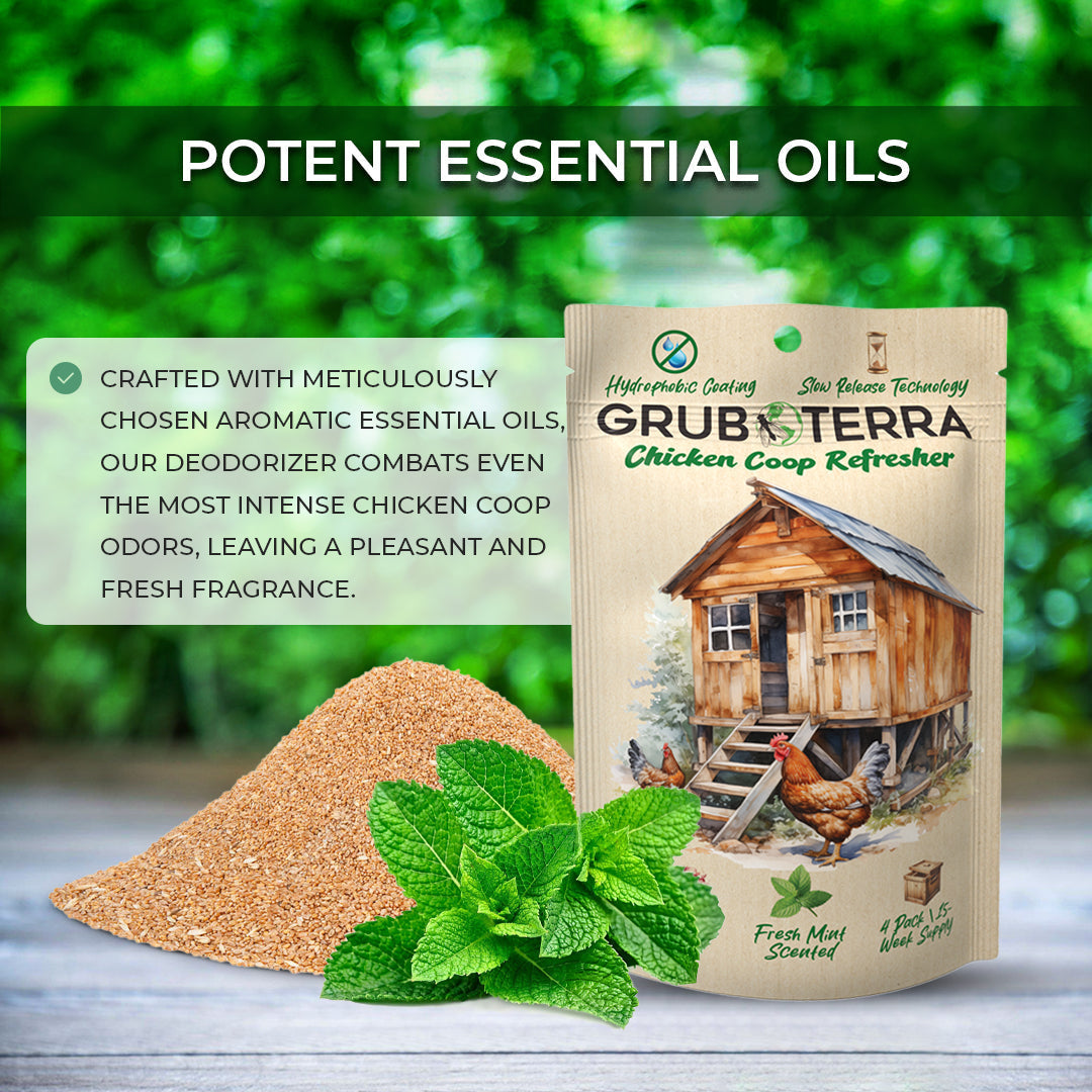 GrubTerra Coop Refresher chicken bedding with mint scent in a clean, fresh chicken coop setting.