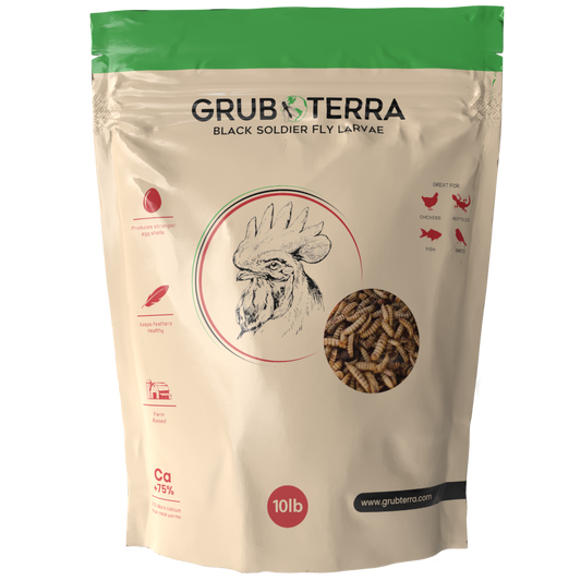 GrubTerra Dried Black Soldier Fly Larvae feed in a 10lb bag, showing dried black soldier fly larvae on the packaging.