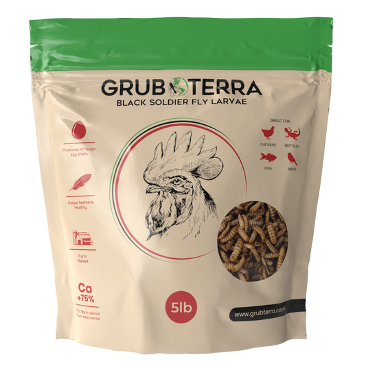 GrubTerra Dried Black Soldier Fly Larvae feed in a 10lb bag, showing dried larvae suitable for pet or livestock nutrition.