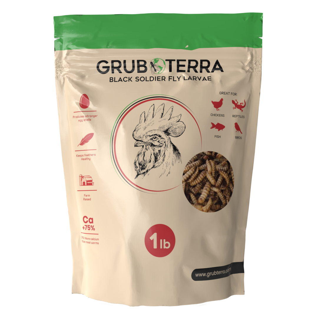 GrubTerra Dried Black Soldier Fly Larvae Feed in a 10lb bag, showing dried larvae ready for animal nutrition or pet feed.