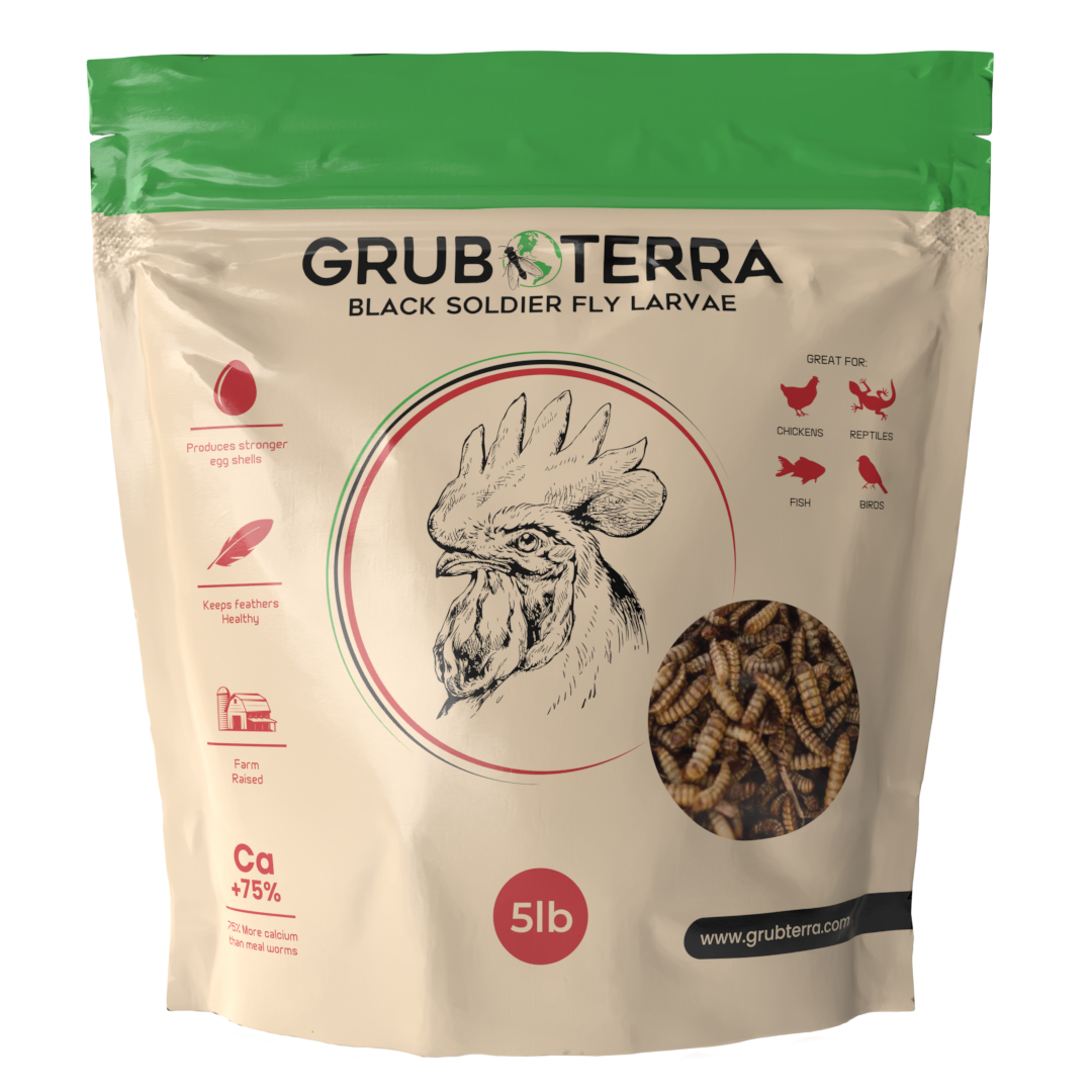 GrubTerra Dried Black Soldier Fly Larvae feed in a 5 lb bag, showing dried larvae ready for animal nutrition and pet feed applications.