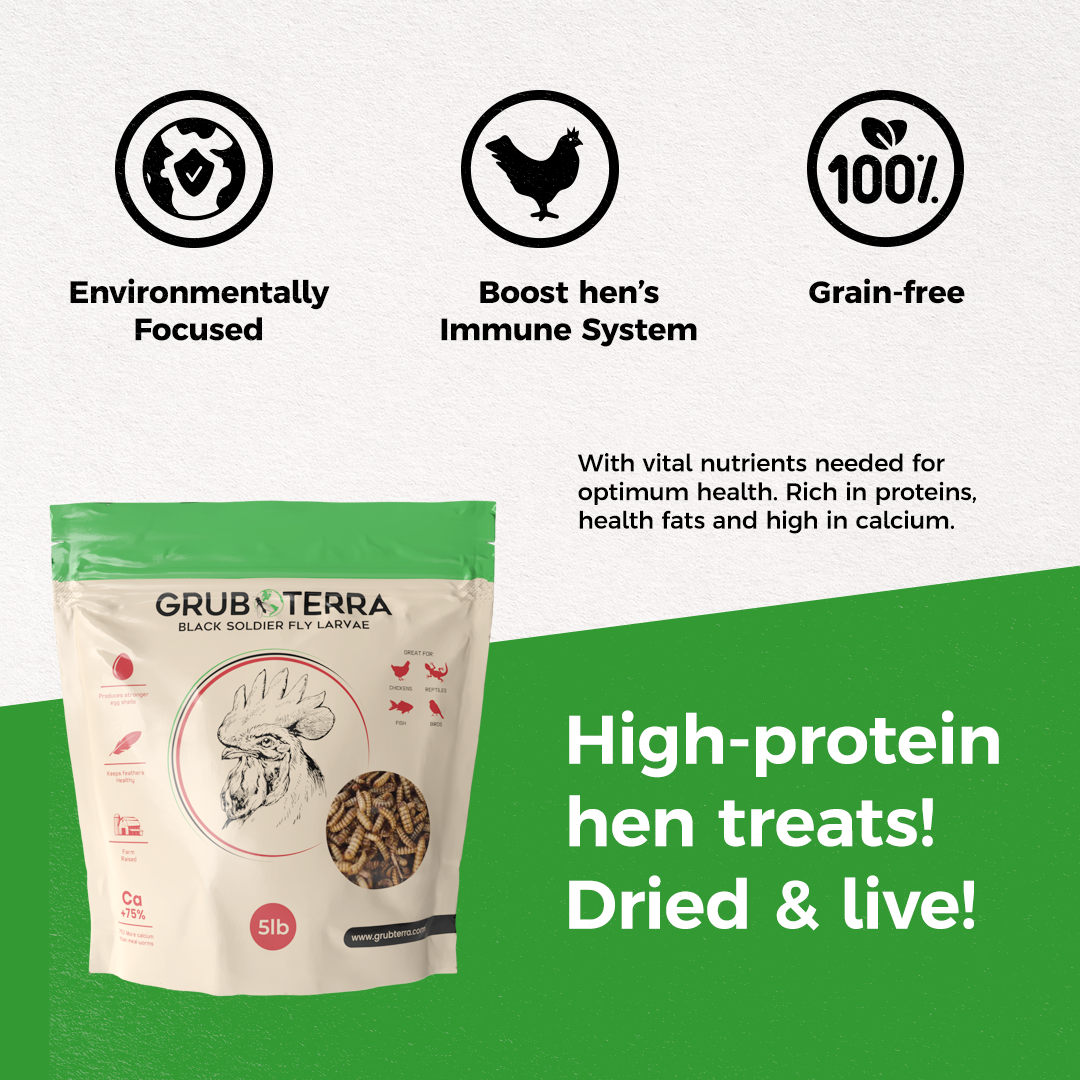 GrubTerra Dried Black Soldier Fly Larvae feed in a 5 lb bag, showing dried black larvae suitable for pet or animal nutrition.