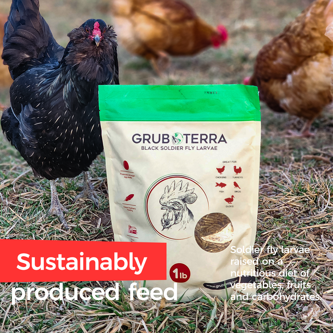 GrubTerra Dried Black Soldier Fly Larvae feed in a 5 lb bag, showing dried black larvae suitable for pet or animal nutrition.