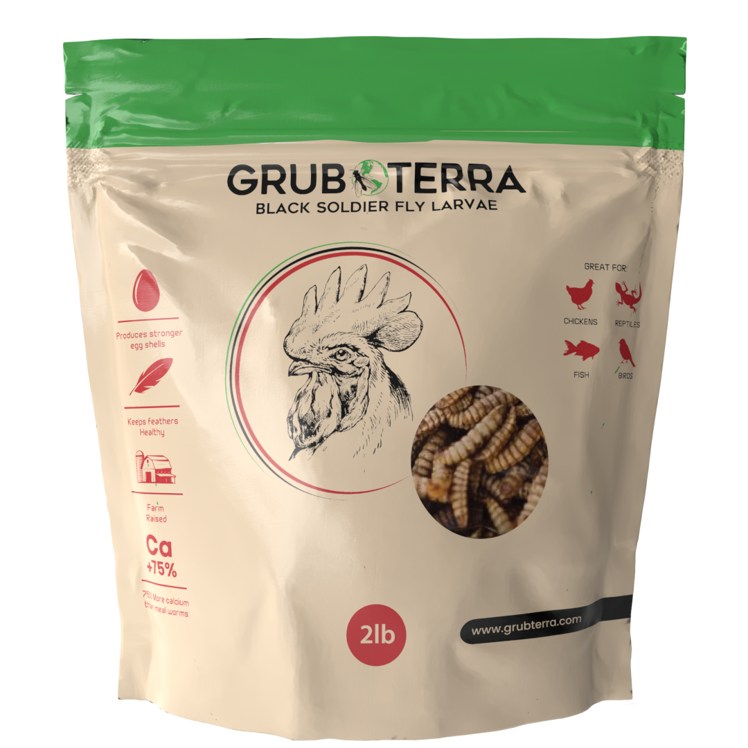 GrubTerra Dried Black Soldier Fly Larvae feed in a 5 lb bag, showing dried larvae in a natural, textured appearance.