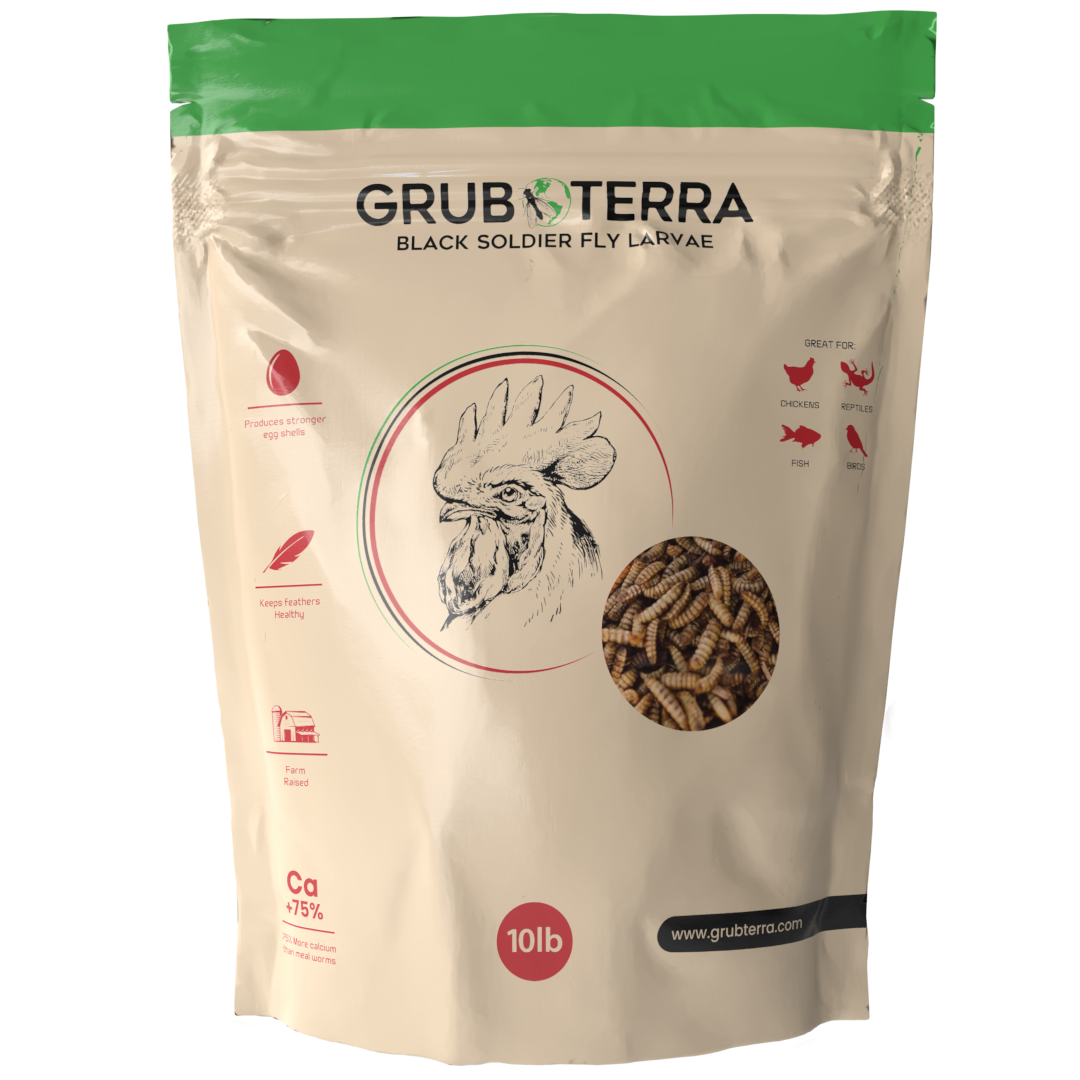 GrubTerra Dried Black Soldier Fly Larvae feed in 5 lb bag, natural protein source for poultry, reptiles, and fish.