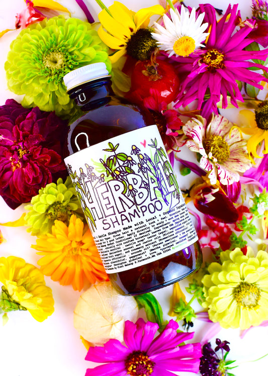 Herbal shampoo by Plant Makeup with natural ingredients, shown in a sleek bottle on a clean surface.