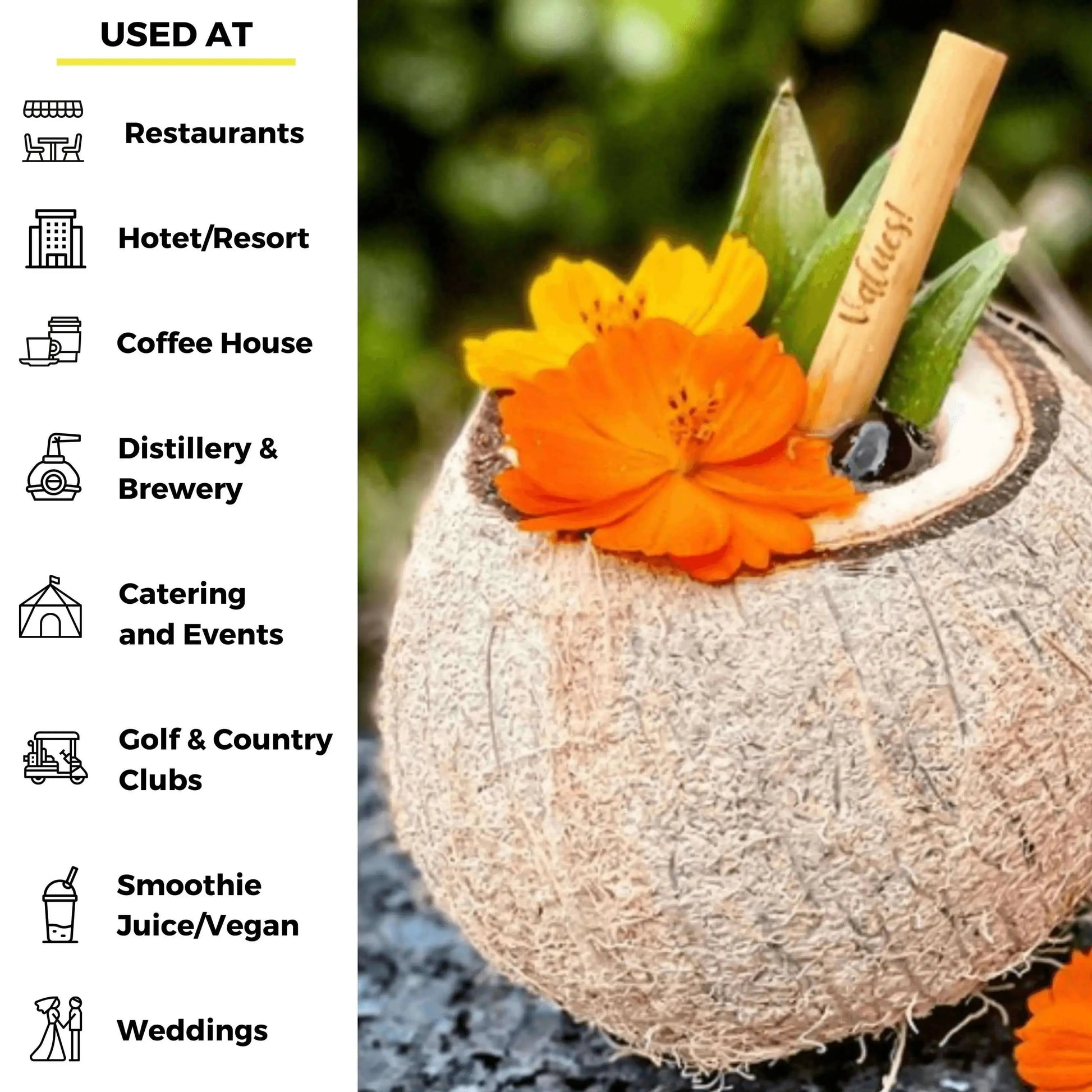5.5-inch jumbo reed drinking straws from Holy City Straw Company, natural reed material for eco-friendly beverages.