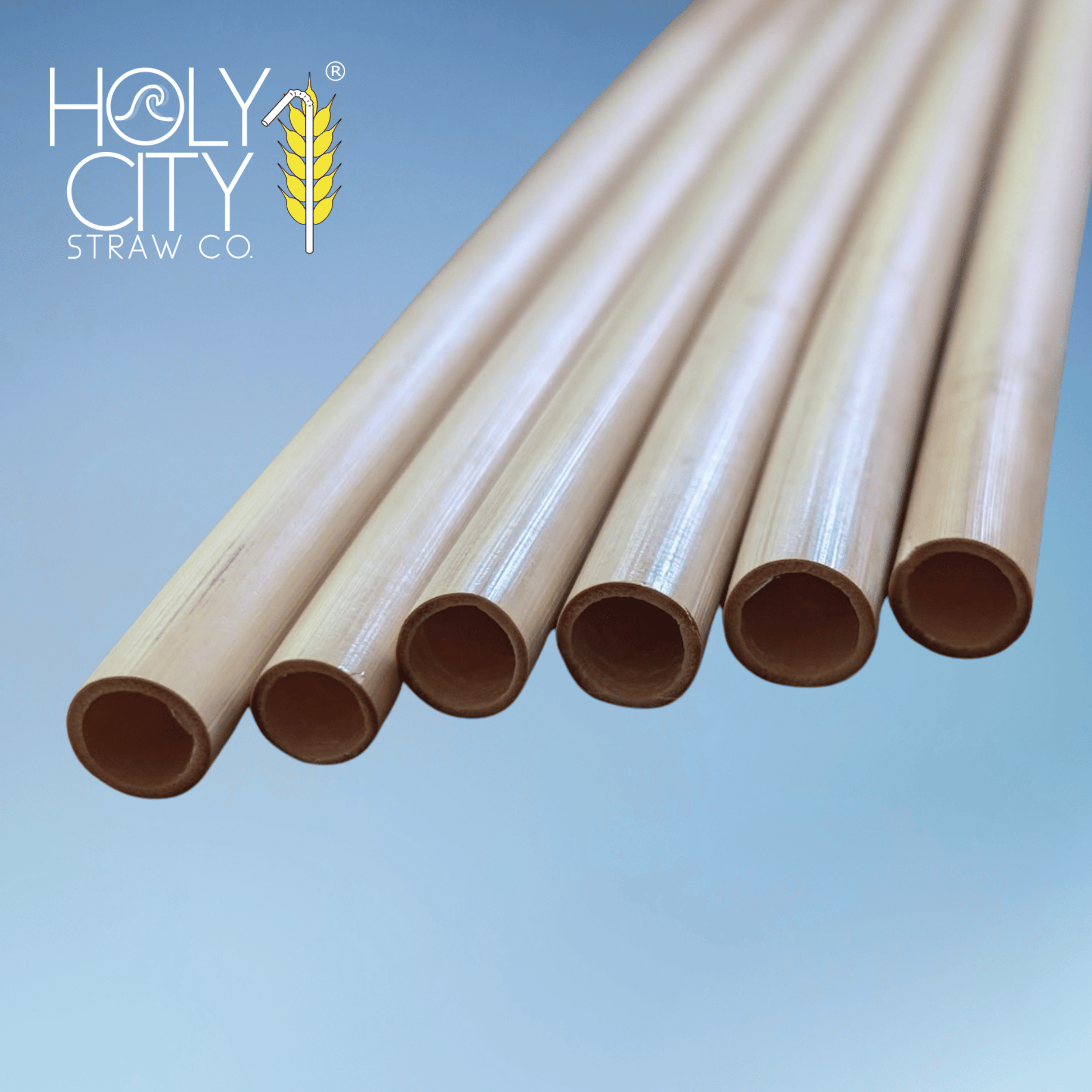 Holy City Straw Company 7.9-inch jumbo reed drinking straw, eco-friendly and natural, suitable for beverages and cocktails