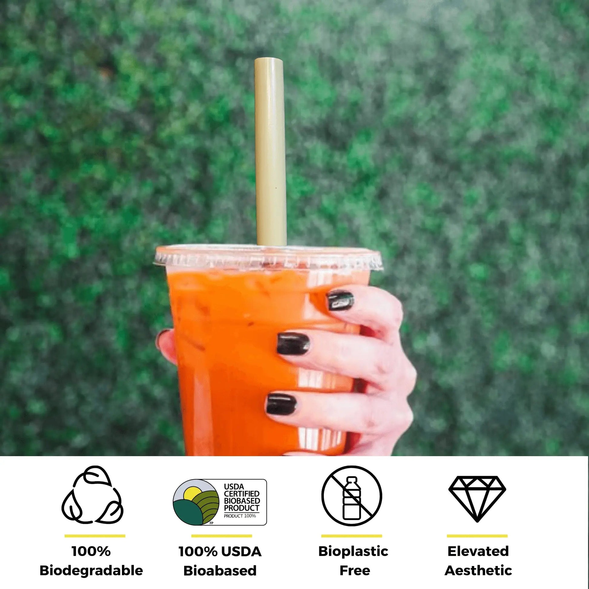 Holy City Straw Company 7.9-inch wrapped Boba Reed Straws for drinks, made from durable reed material, ideal for bubble tea.