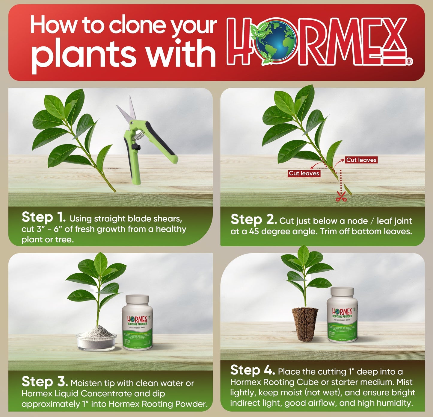 HORMEX Rooting Powder #1 plant supplement in a 3-4 oz bottle, used for rooting delicate houseplants, herbs, and succulent cuttings.