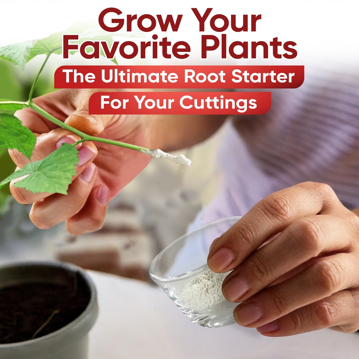 HORMEX Rooting Powder #16 in 3/4 oz bottle, a plant supplement for hardwood plant and tree cutting root development.
