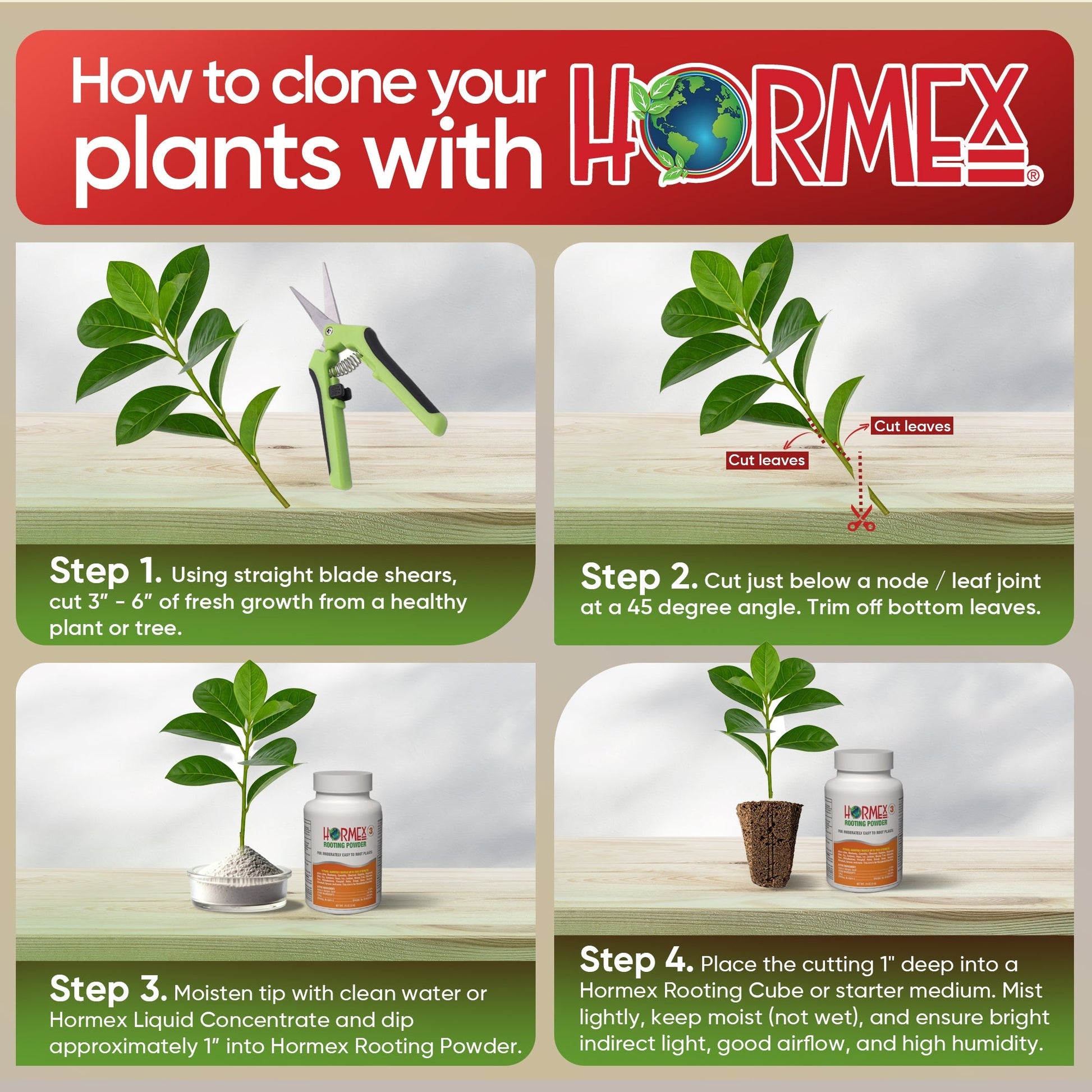 HORMEX Rooting Powder #3 in a 4 oz bottle, used as a plant rooting hormone for home and garden plant cuttings.