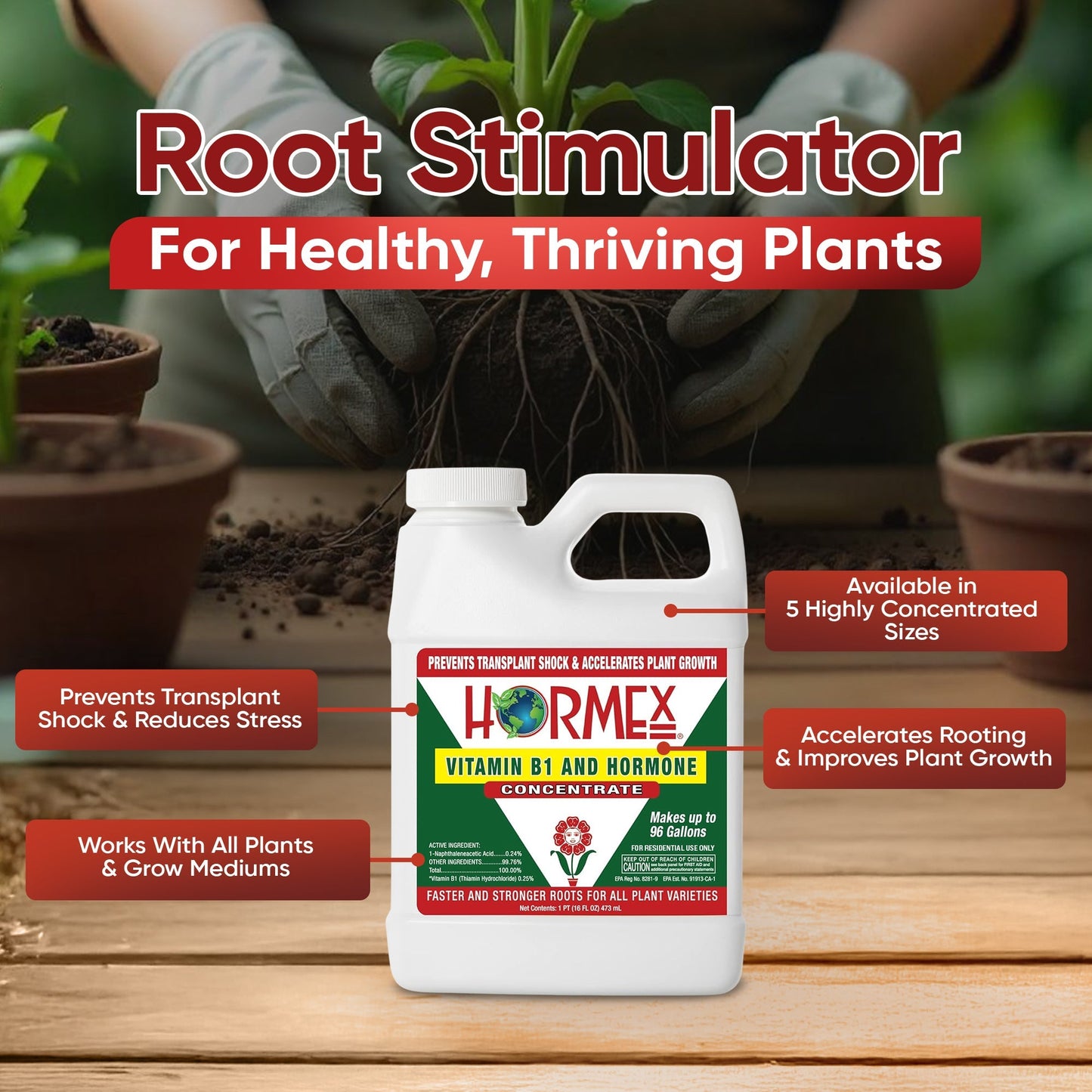 HORMEX Rooting Hormone Concentrate with B1 for plant root growth, ideal for hydroponics, houseplants, gardens, trees, and vegetables.