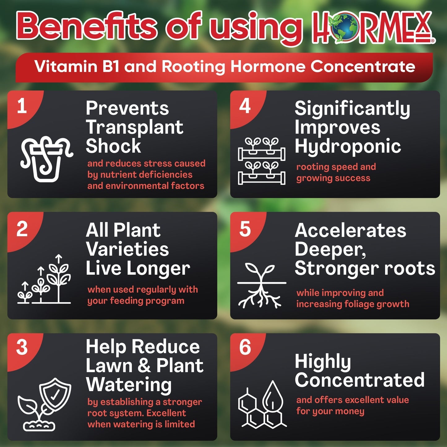 HORMEX Rooting Hormone Concentrate with B1 for plant root growth, suitable for hydroponics, houseplants, gardens, trees, fruits, and vegetables.
