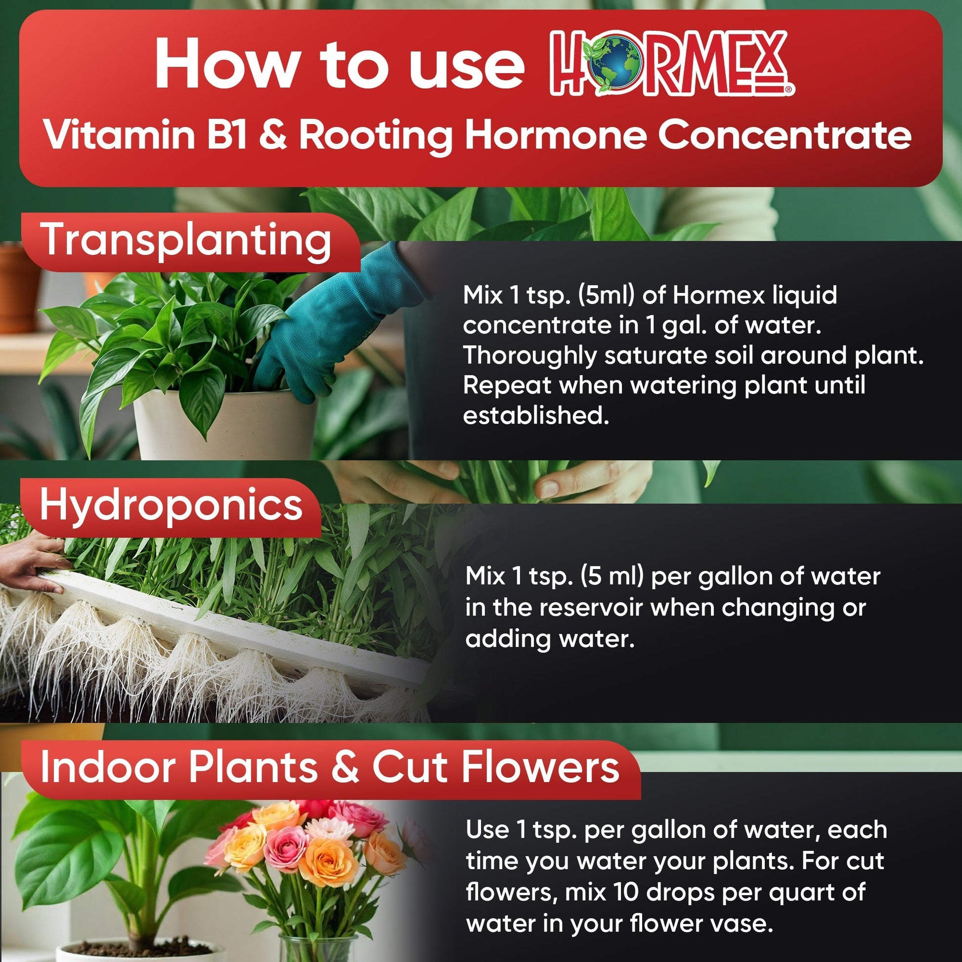 HORMEX Rooting Hormone Concentrate with B1 for plant root growth, ideal for hydroponics, houseplants, gardens, trees, fruits, and vegetables.