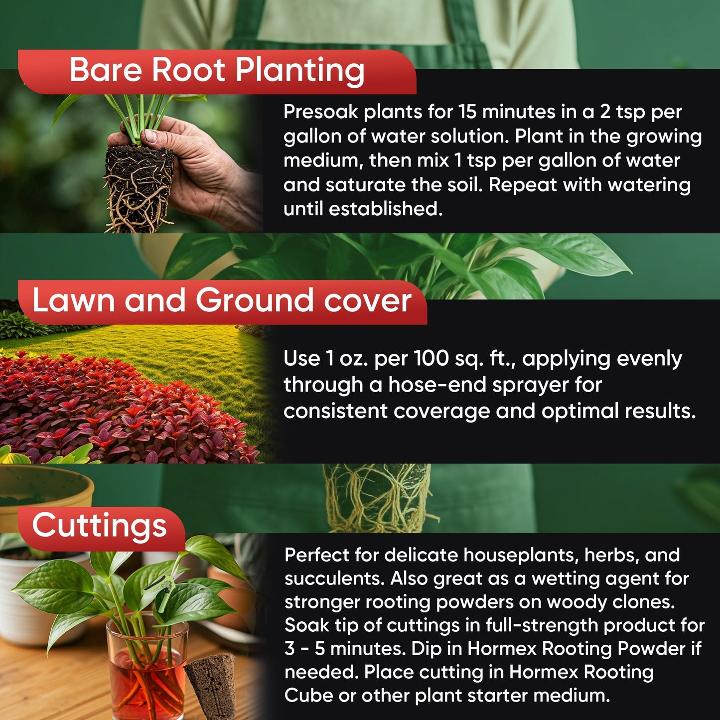 HORMEX Rooting Hormone Concentrate with B1 for plant root growth, ideal for hydroponics, houseplants, gardens, trees, and vegetables.