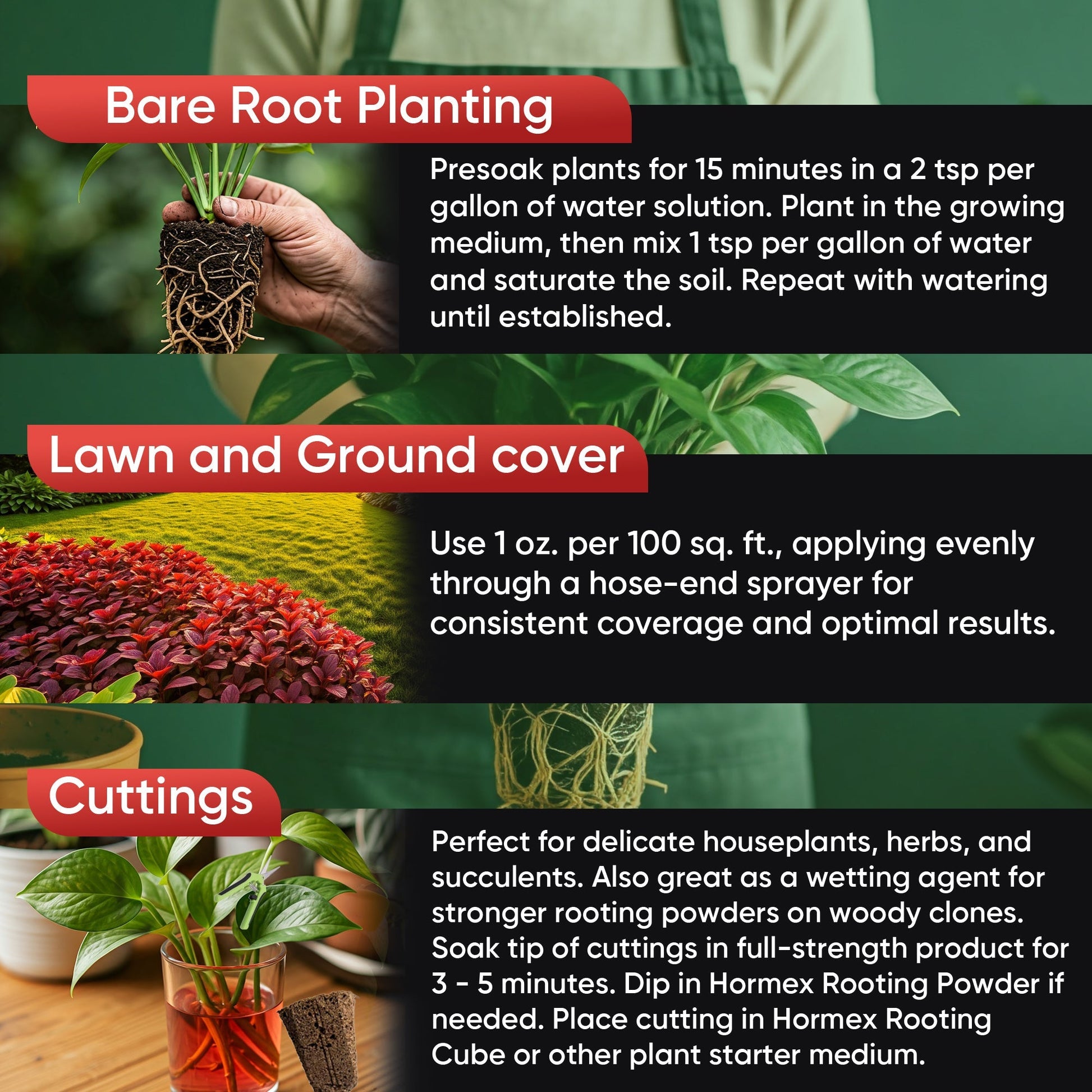 HORMEX Rooting Hormone Concentrate with B1 for plant root growth, ideal for hydroponics, houseplants, gardens, trees, and vegetables.
