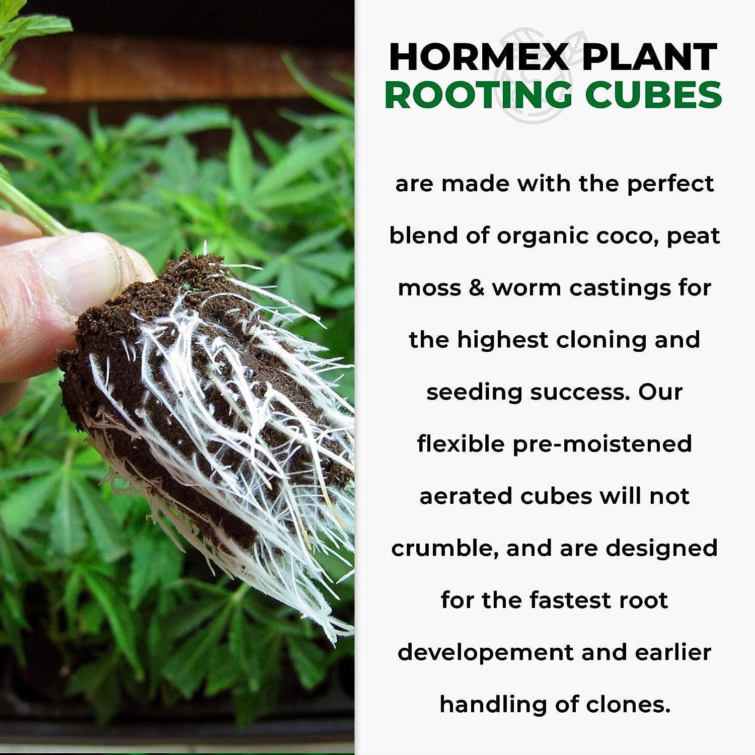 Hormex rooting cubes refill bag with 50 peat moss and coco plugs for healthy plant growth and rooting from cuttings or seeds.