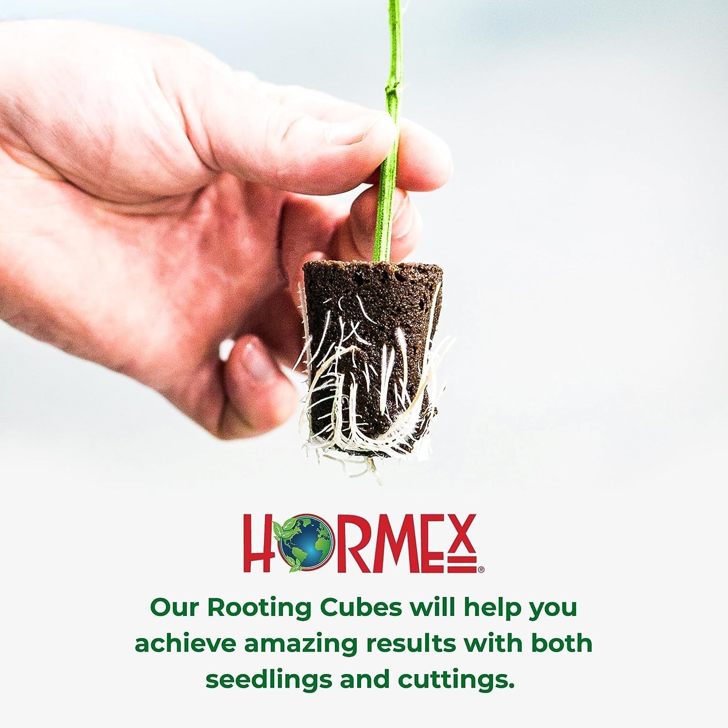 Hormex Rooting Cubes for plant cuttings and seeds, showing peat moss and coco plugs for healthy root development.