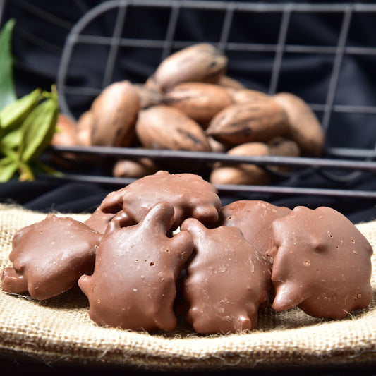 Horne Pecan Company chocolate pecan turtles in an 8-ounce package, featuring glossy chocolate and crunchy pecans