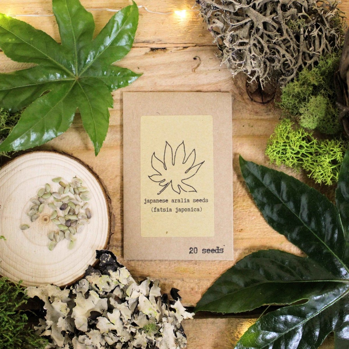 Assorted houseplant seeds from Plantflix's Houseplant Adventurer collection, showcasing various seed types for indoor plants.