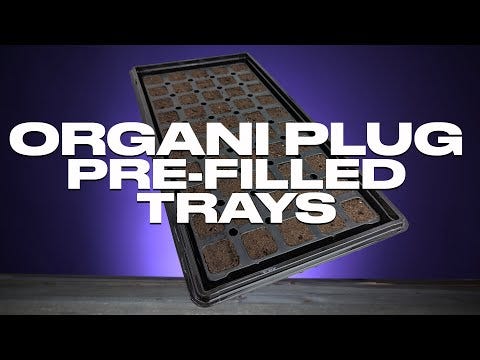 Close-up of GrowersHouse OrganiPlug seed and cutting plugs in a pre-filled tray, showing 50 individual biodegradable plugs.